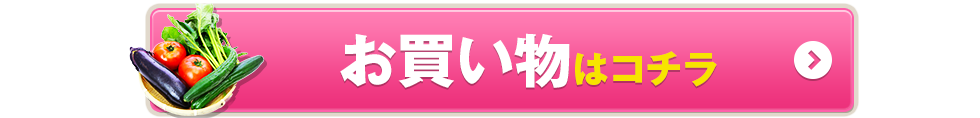 既に会員登録済みの方はコチラ