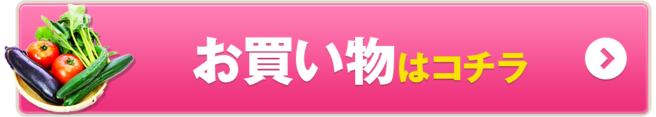 既に会員登録済みの方はコチラ
